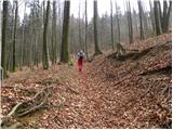 Cerkno - Veliki vrh (Lajše)